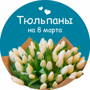 Купить тюльпаны в Запорожье